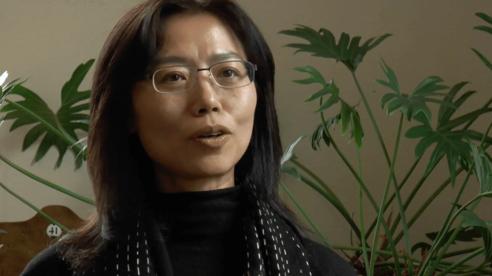 Interview with analyst Ann Chia-Yi Li